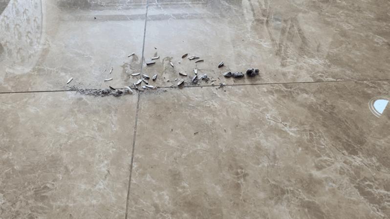 家居清洁单品推荐,清洁家居必备10件物品