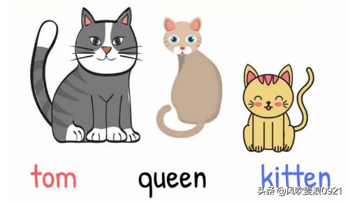 儿童跟读学英语动物单词,看图记单词学口语