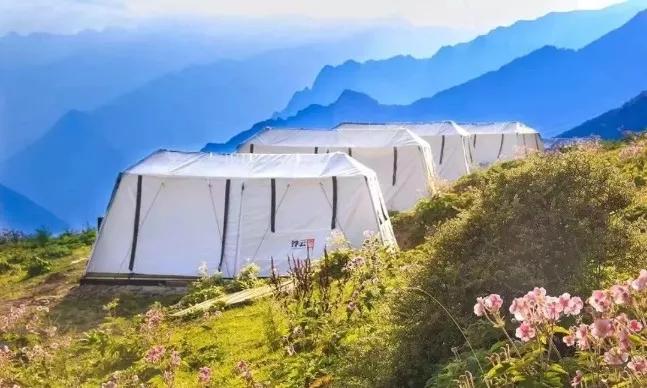 娴簯鐗у満绉佷汉姘戝,娴簯鐗у満缃戠孩姘戝