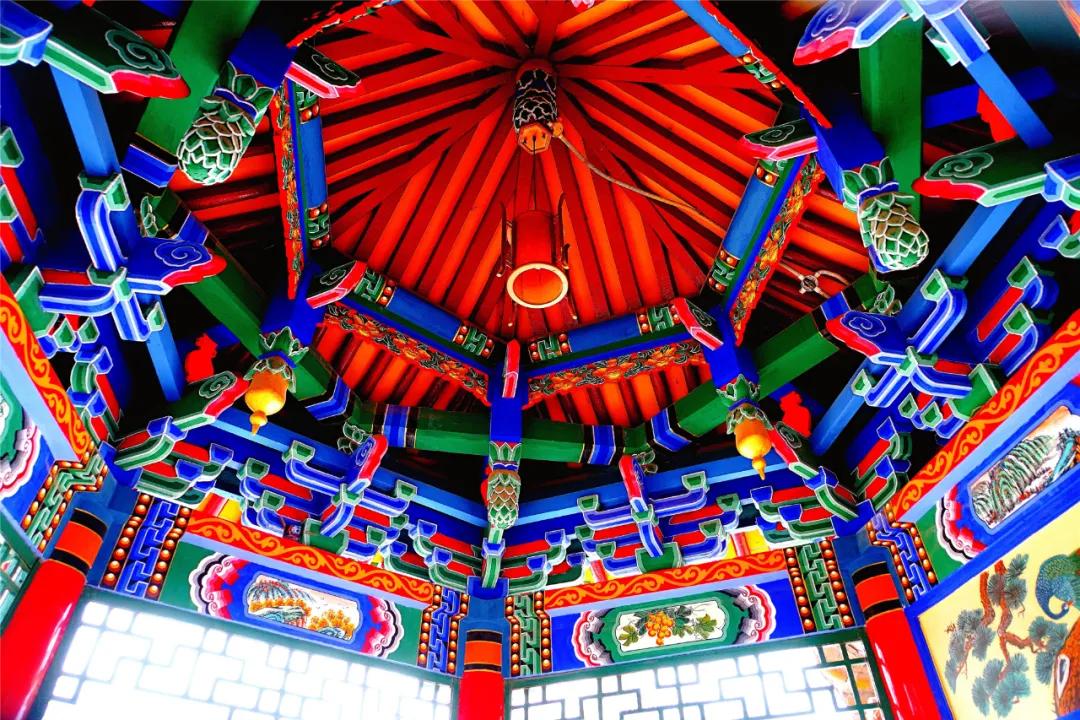 宁夏银川街心公园,银川兴庆区宁园门票多少