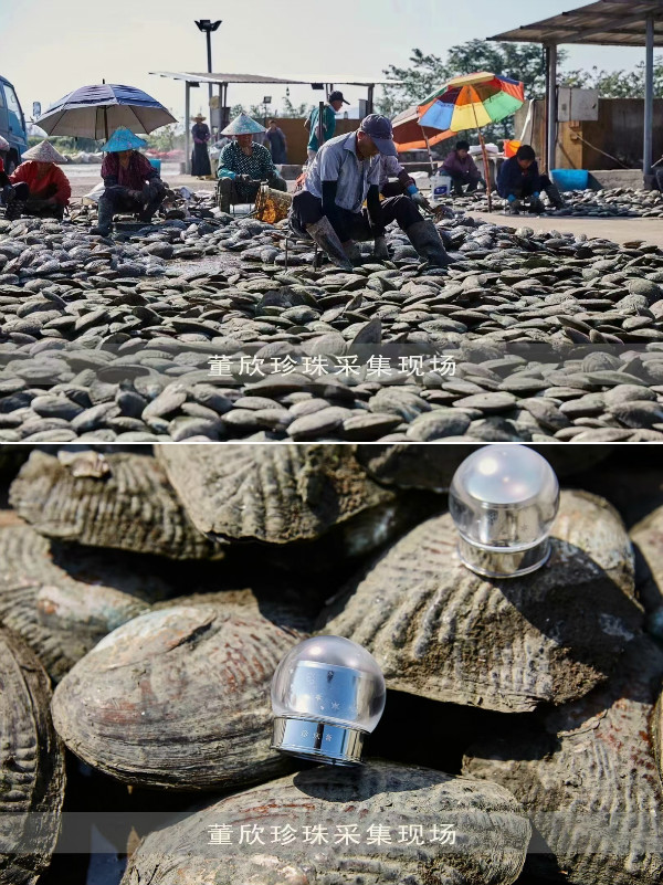 董欣可以吃吗,董欣天然护肤品店门票