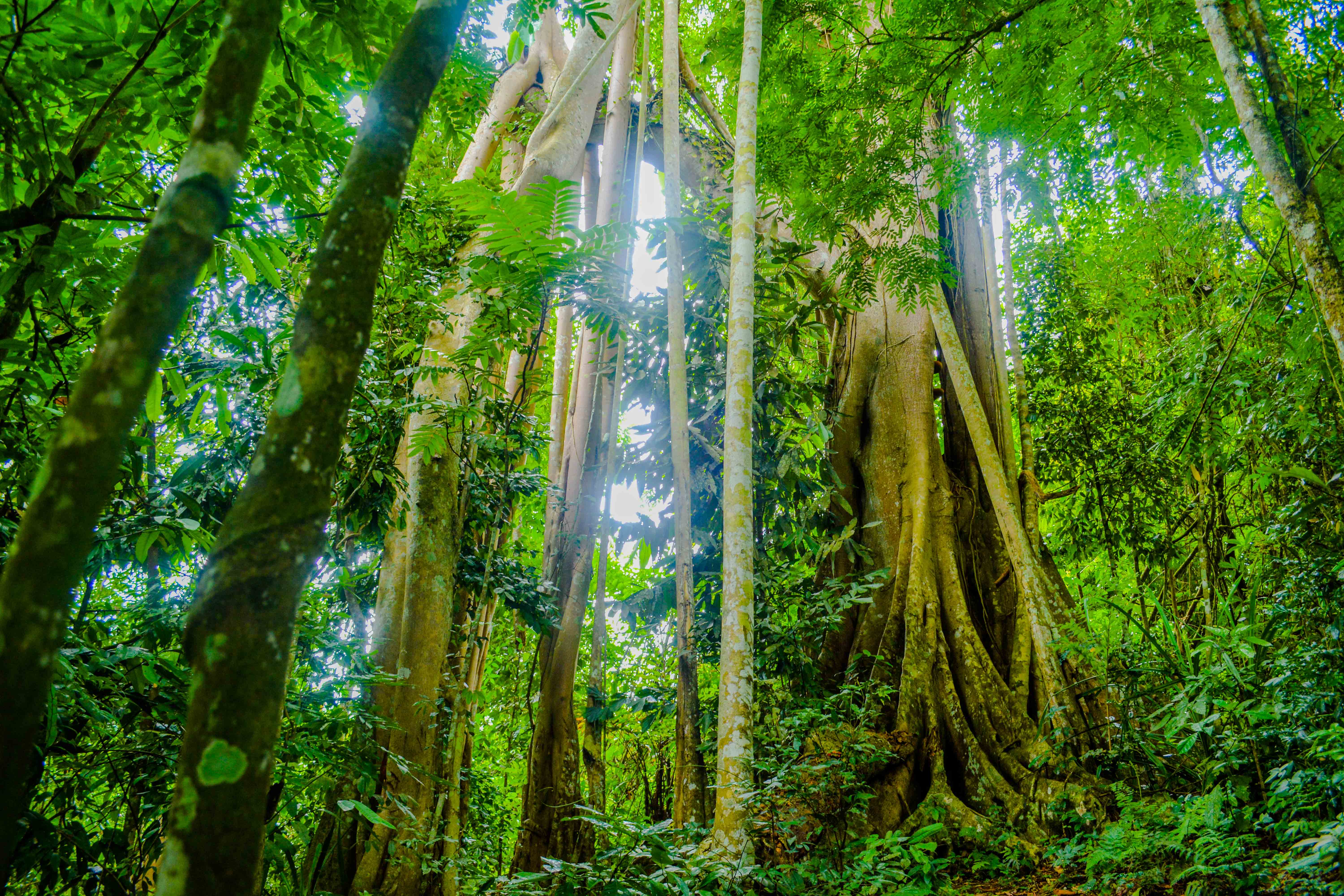 2021浜戝崡鍗佸ぇ鍚嶅搧,浜戝崡鍗佸ぇ鍚嶅搧