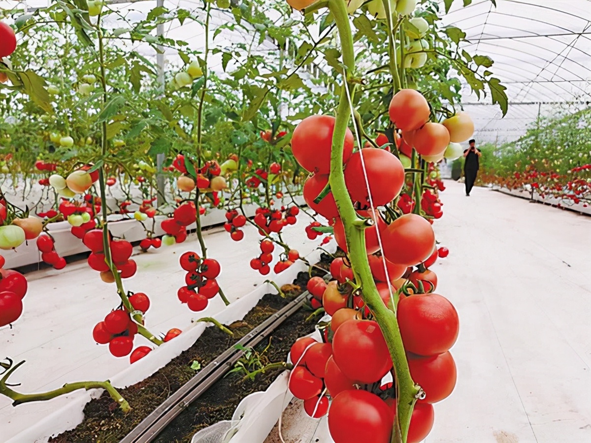 全面建设社会主义现代化的新征程,全面开启建设现代化强国的新征程