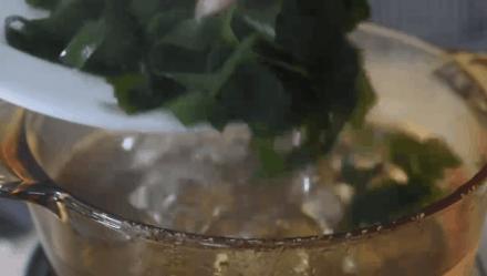 超嫩海带苗,霞浦海带嫩苗哪里有卖