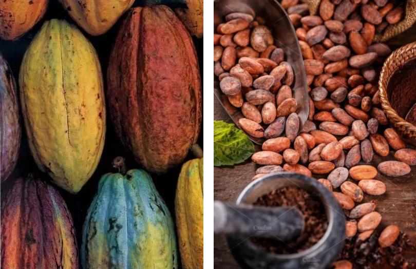 科普巧克力的故事,有关巧克力的知识