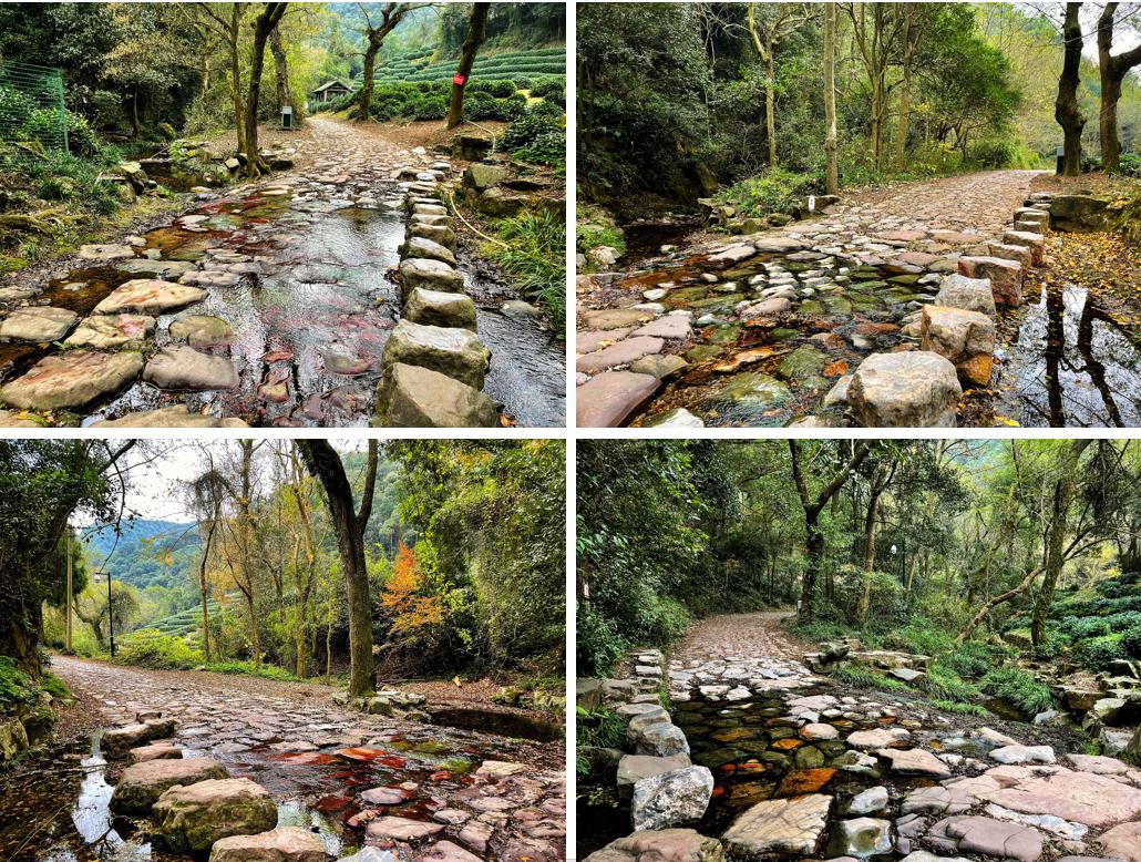 飞行2万公里，足迹10个城市——2020我的手机摄影之旅