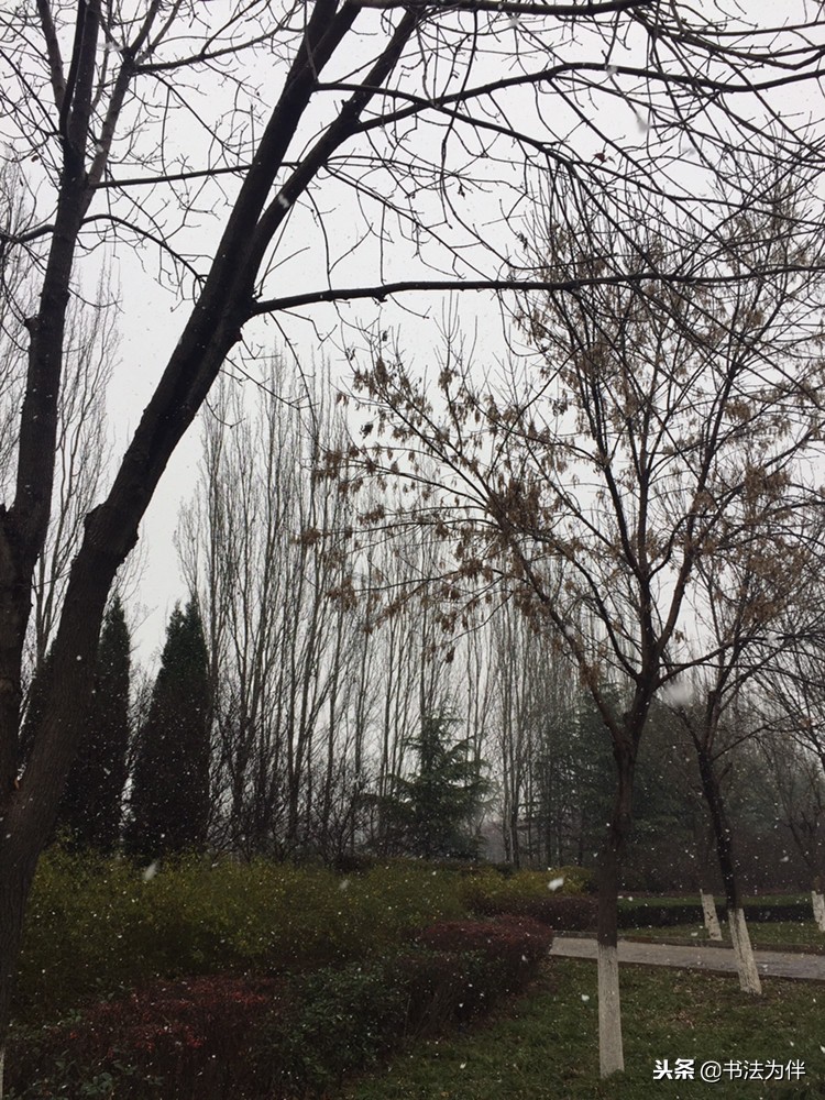 天冷了还要锻炼吗,为什么说下雪天适合练书法