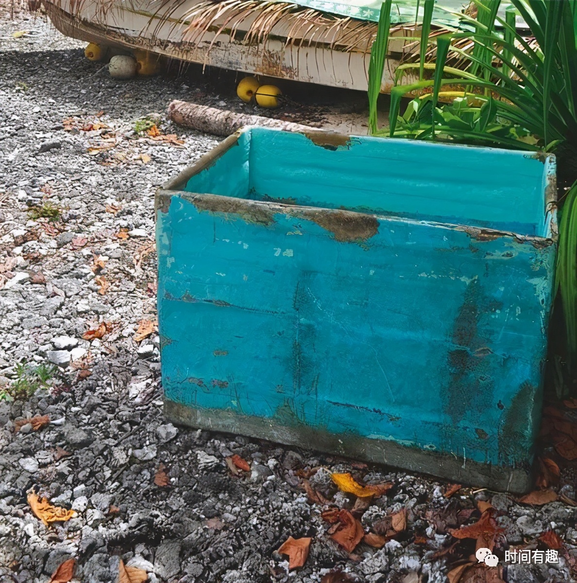 励志：我是怎么在海上漂泊438天奇迹生还并被质疑吃了同伴的？