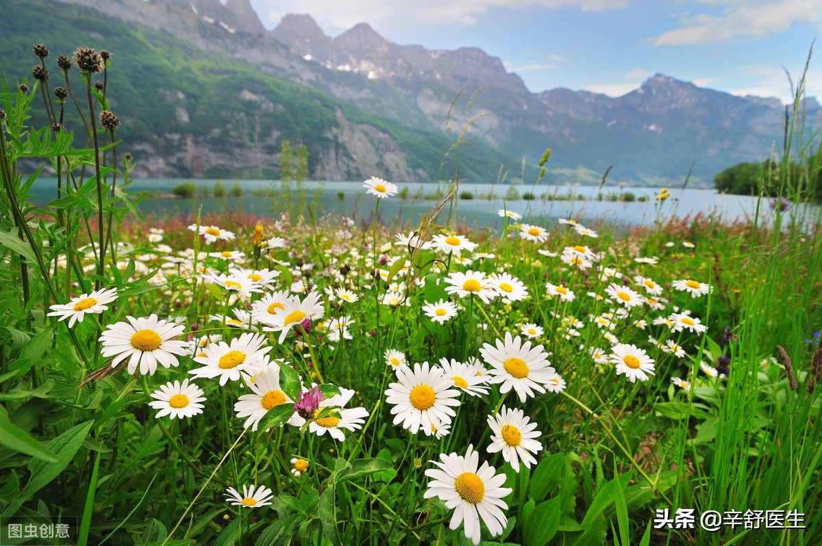 宫颈癌免费治疗故事,宫颈癌筛查一年后会得宫颈癌吗