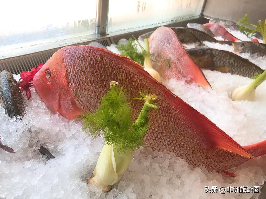 塞舌尔旅行体验,塞舌尔海岛游记