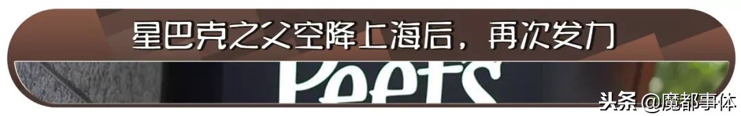 上海天安千树网红打卡点,上海打卡必去的地方排名