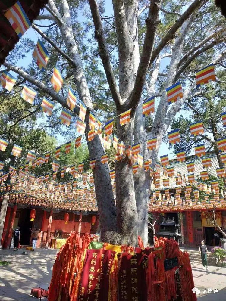 太原南十方白云寺开门了吗,太原南十方白云寺地址