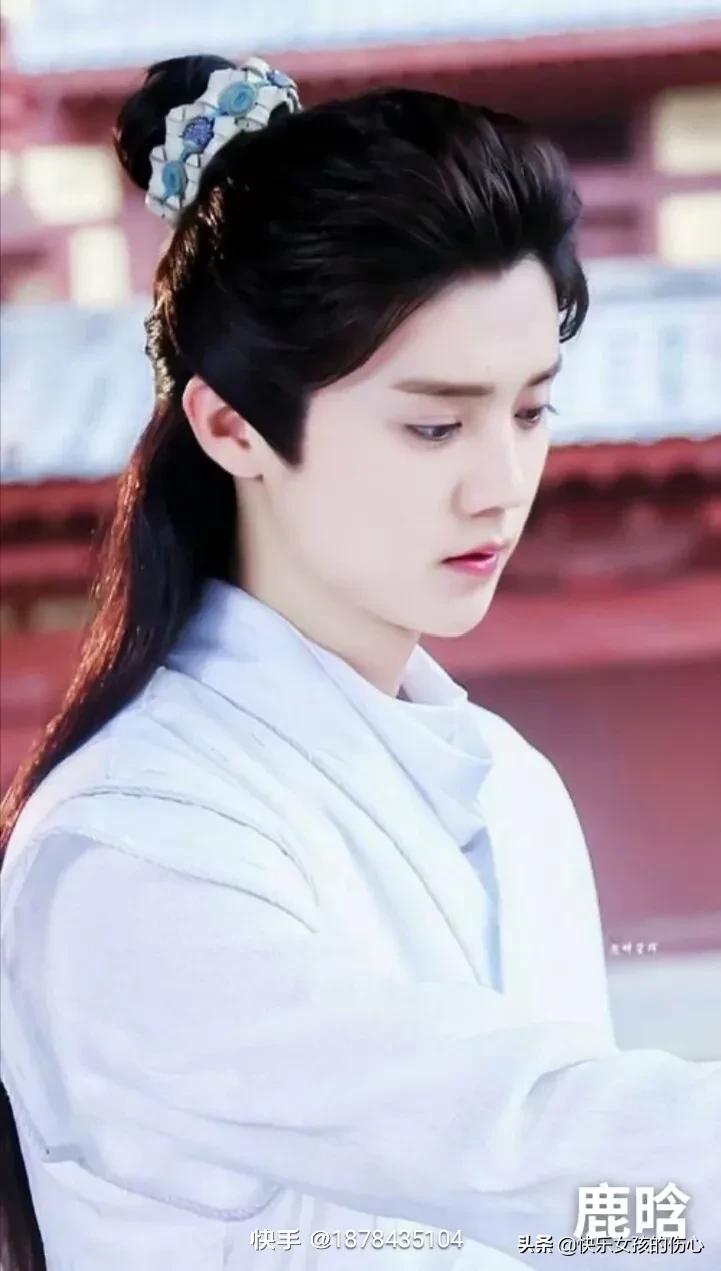 形容古代男子帅气有魅力的句子,描写古代男子气质优雅的句子