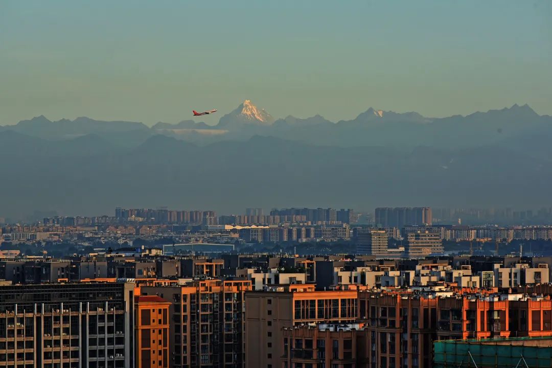 珍稀鸟类现身成都,在双流春游看花