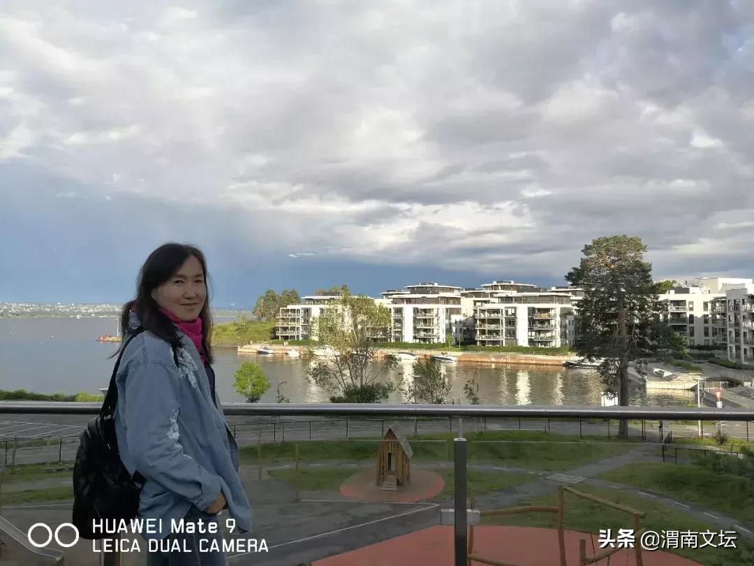 闫芙蓉陕西,渭南文坛