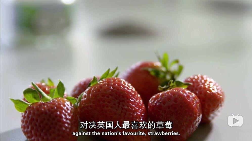 枸杞价值不如草莓？这部BBC纪录片，拆穿“抗癌食品”的真面目