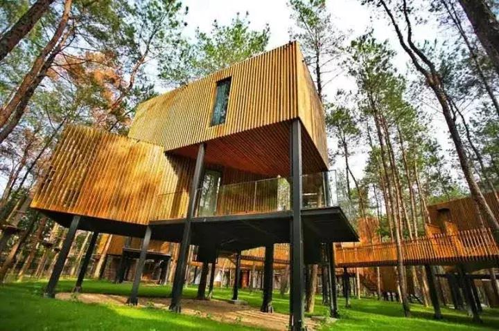 温州楠溪江好的主题民宿排名,楠溪江醉香楼客栈