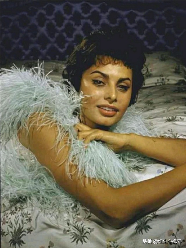 1957年，美丽的索菲娅·罗兰意大利永远的女神！