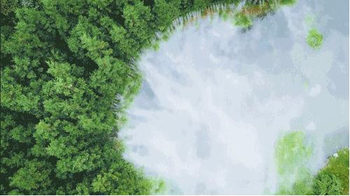 成都花水湾凤栖林温泉酒店介绍,成都田园顶级温泉酒店