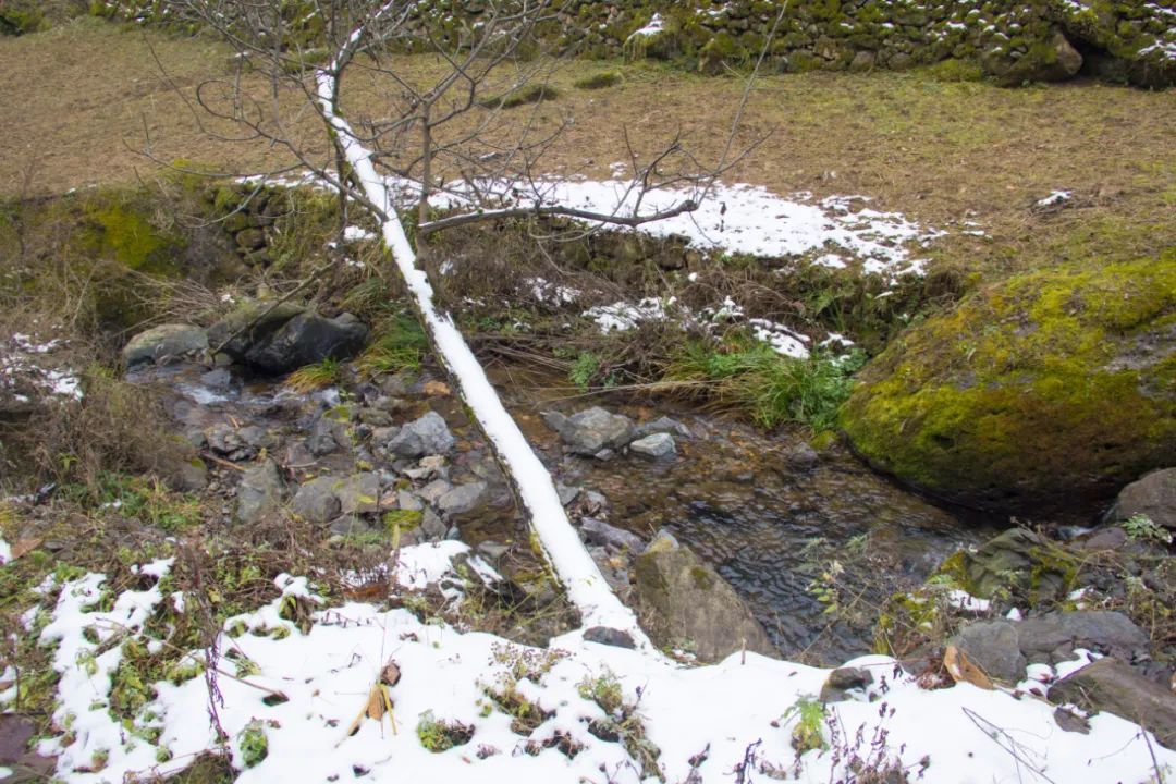 门窗比例不协调，门口出现的东西更不协调，秦岭这栋老房子有故事