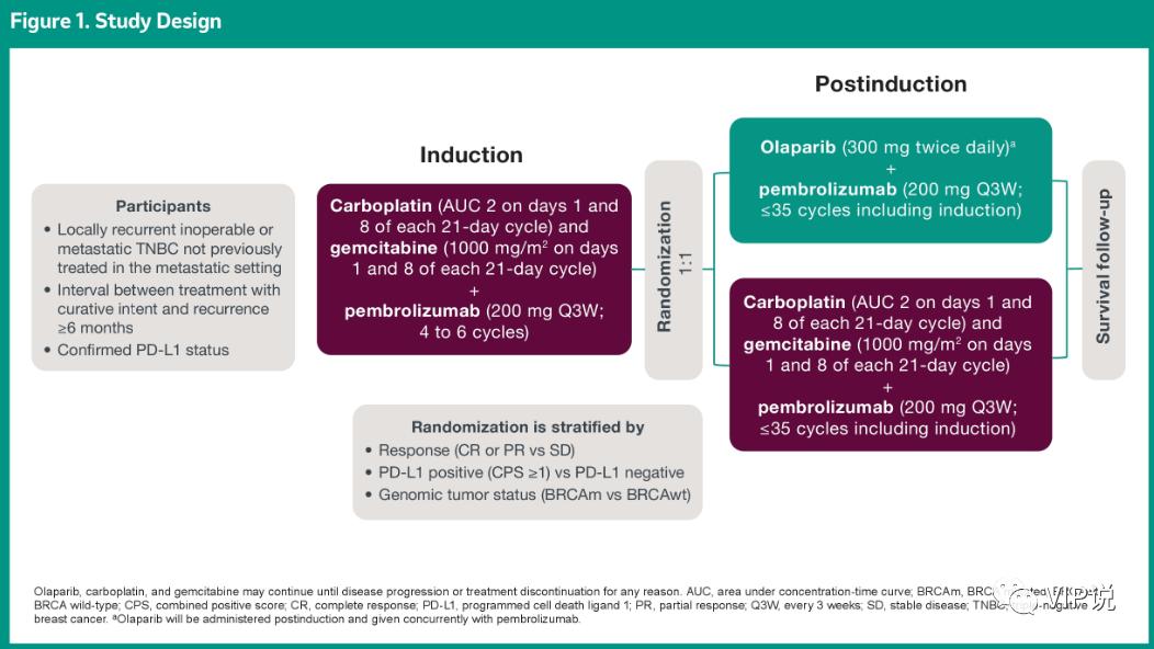 三阴乳腺癌晚期免疫治疗,三阴乳腺癌免疫疗法视频