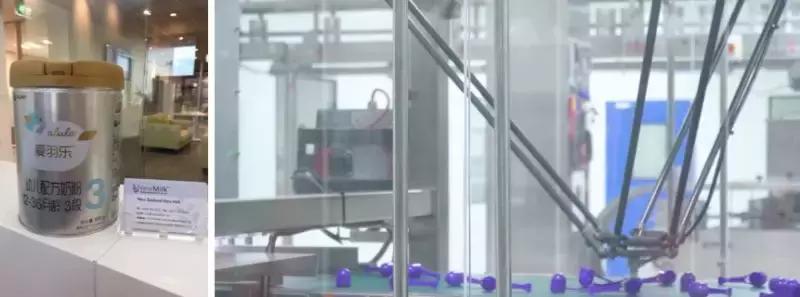 爱羽乐奶粉是什么品牌 (爱羽乐奶粉怎么样)