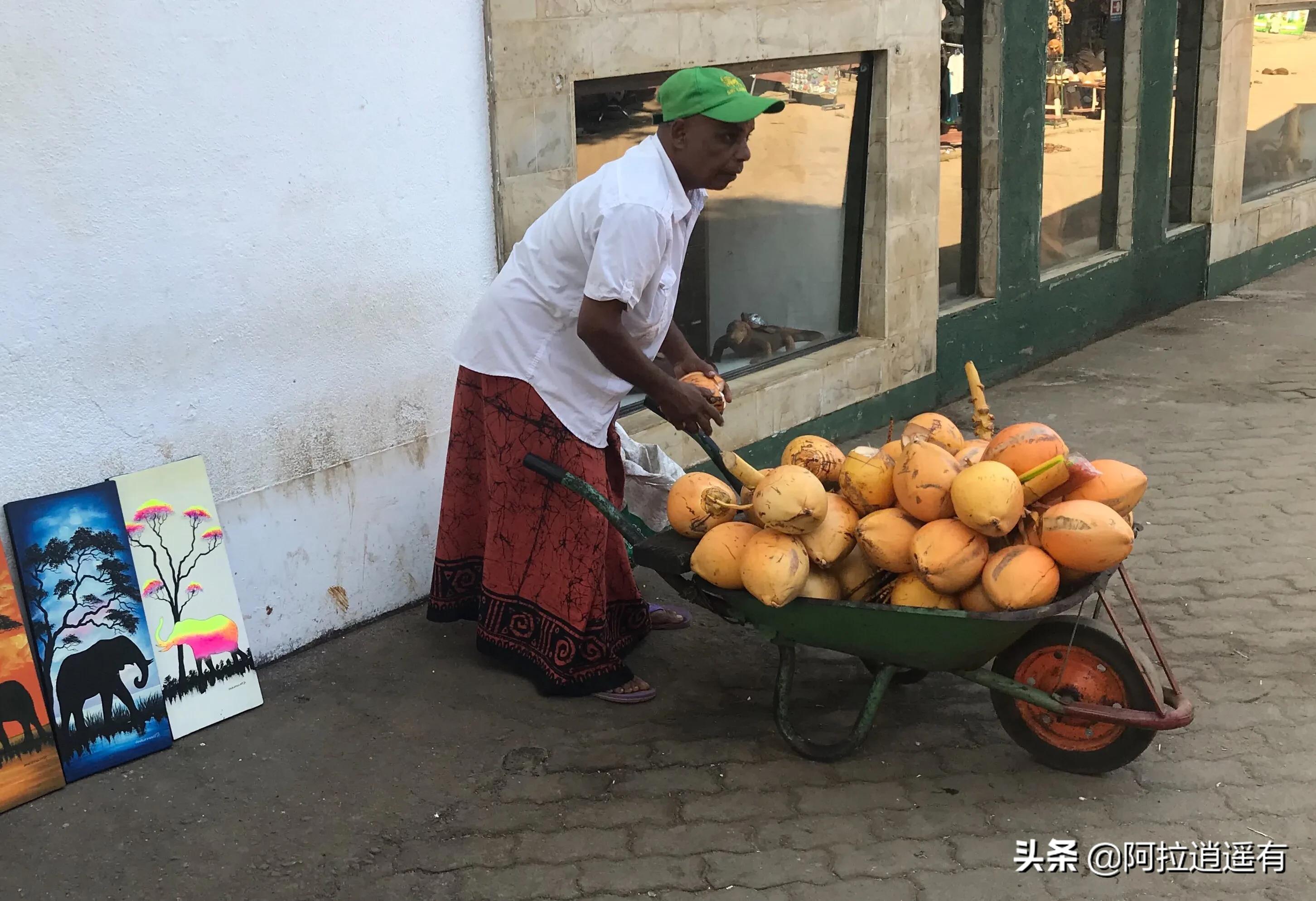斯里兰卡大象粪便做纸,斯里兰卡大象粪便纸