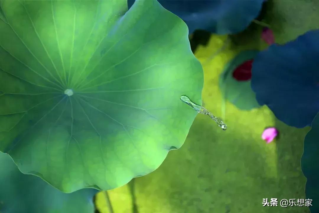 诗经中形容夏天的诗词,舂容大雅