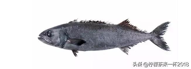 银鳕鱼如何挑选,法国银鳕鱼挑选技巧