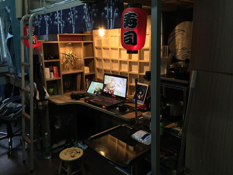 z涓栦唬鍏ヨ亴,z涓栦唬鍏ヨ亴娲诲姩