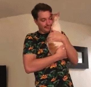 养猫会给家庭带来快乐,养猫会给人带来的好运