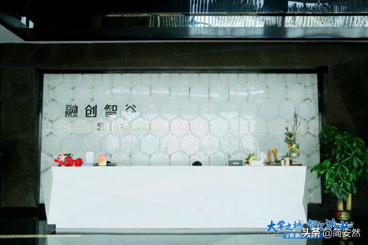 武汉市洪山区东湖风景,武汉洪山区景观