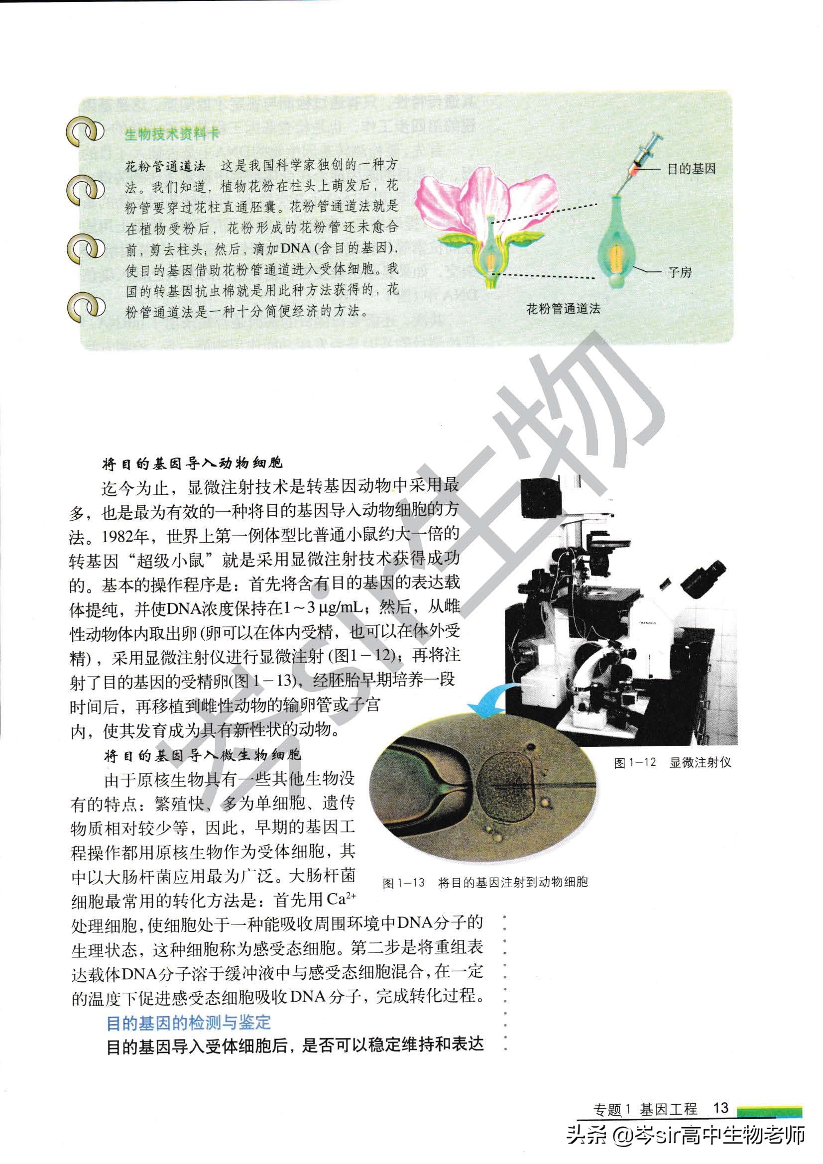 高中生物教材速读选修3.1.2基因工程的基本操作程序