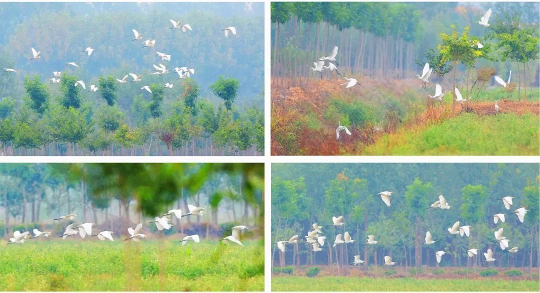 祥和庄园一日游,享受美食和田园风光的完美之旅