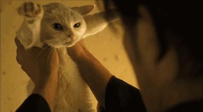 oppo手机耗电太快关闭这2个开关,手机耗电太快需要关掉哪些开关