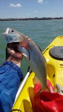 这才是最真实的国外钓鱼人，别崇洋媚外了，原来我们都被骗了