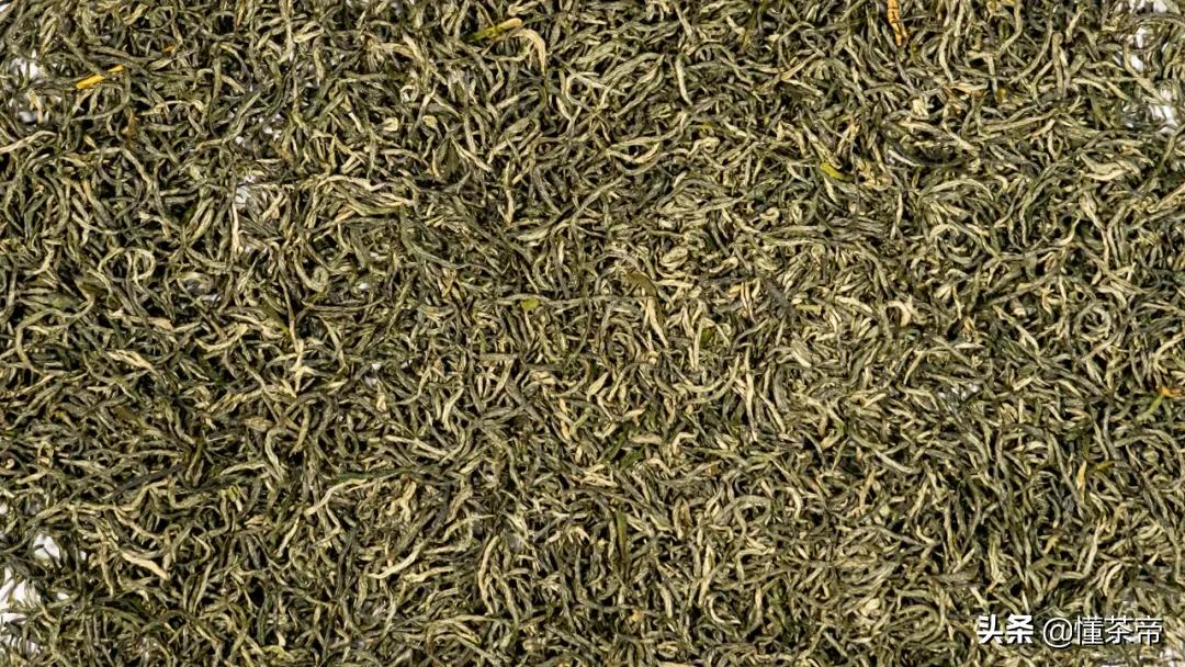 信阳毛尖绿茶测评,信阳毛尖评测