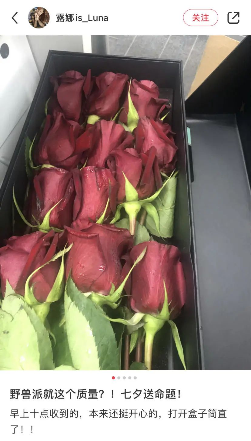 野兽派一支玫瑰多少钱,野兽派2万多的花