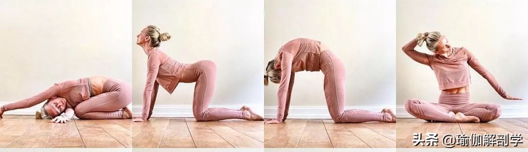 给大家推荐一套瑜伽练习序列,最适合瑜伽初学者练的50个体式