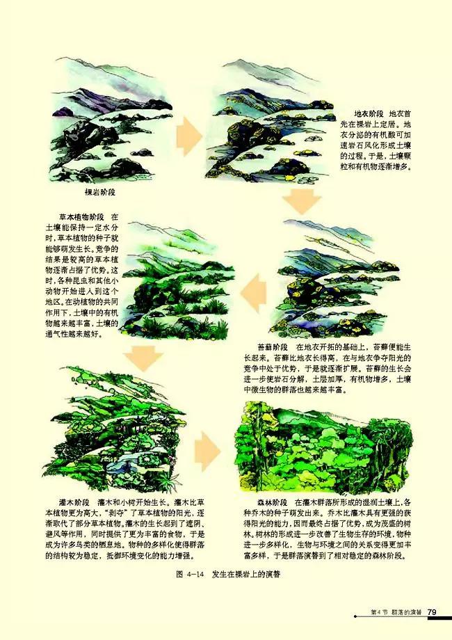 高中生物选择性必修3知识点,高中生物必修三课本电子版