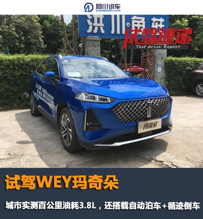 wey玛奇朵插电混动版能跑多少码,泰州wey玛奇朵试驾