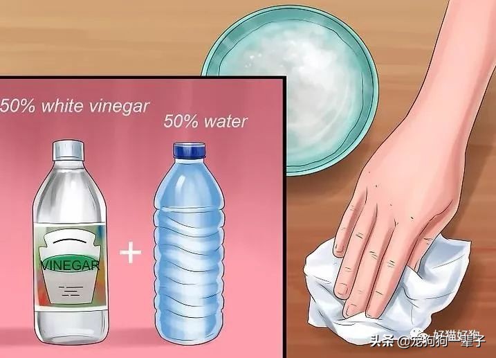 狗狗8个月还是乱拉乱尿怎么办,狗狗出了围栏就乱尿咋回事