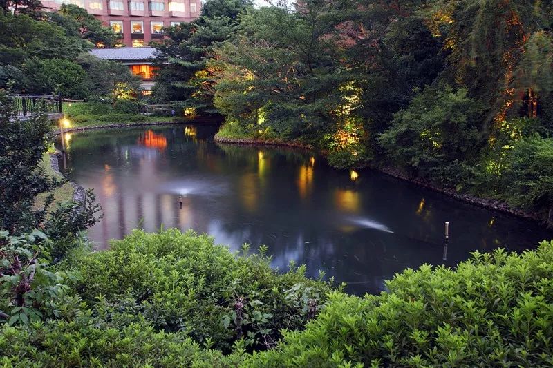 去日本旅游住民宿七天,旅游住宿避坑指南