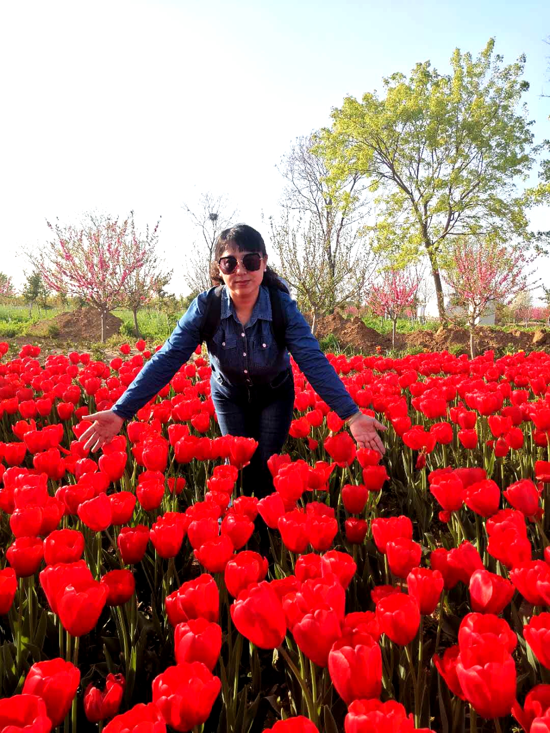 许昌建设路小学教师名单,许昌市建设路小学教师
