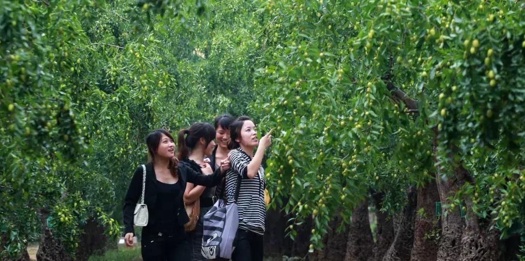 新郑好看视频,新郑怎么样