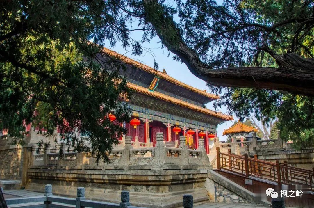 灞变笢鍗拌薄浼樻儬,灞变笢鍗拌薄鍙ゅ煄