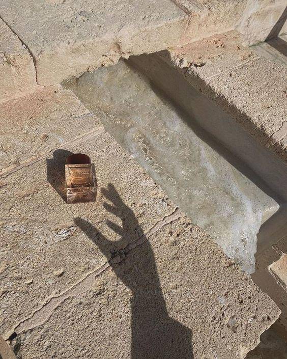 罗意威闻着像飘柔的香水,罗意威是沙龙香吗