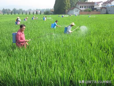 2019年农村创业新商机,农村创业商机排行榜最新