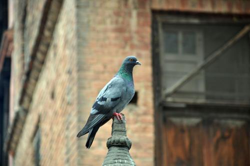 爱因斯坦宇宙中的光速,爱因斯坦说宇宙存在超光速