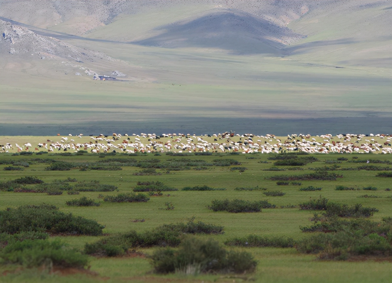蒙古国与外蒙古有什么关系,蒙古国有外蒙古吗